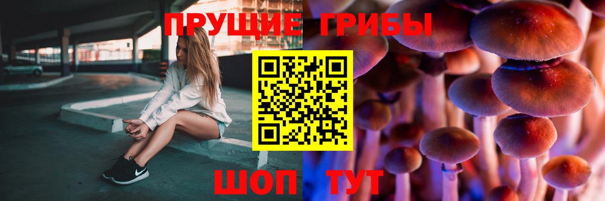 Псилоцибиновые грибы Psilocybe  Вход с VPN  Кропоткин 